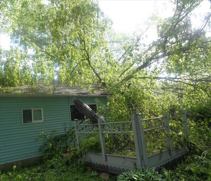 A tree fallen into a house in Barberton, Ohio